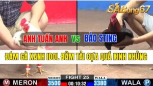 Trận 25 CPC2 09/10/2024 Anh Tuấn Anh Đá Xổ Anh Bảo Sting