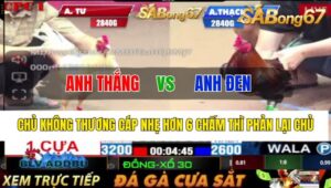 Trận 26 CPC1 29/10/2024 Anh Thắng Đá Xổ Anh Đen