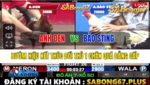 Trận 26 CPC2 16/10/2024 Anh Đen Đá Xổ Anh Bảo Sting