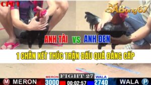 Trận 27 CPC1 05/10/2024: Anh Tài Đá Xổ Anh Đen