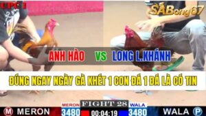 Trận 28 CPC1 31/10/2024 Anh Hào Đá Xổ Anh Long Long Khánh