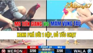 Trận 28 CPC3 06/10/2024 Anh Mo Tiền Giang Đá Xổ Anh Mắm Vũng Tàu