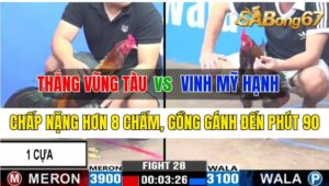 Trận 28 CPC3 11/10/2024 Anh Thắng Vũng Tàu Đá Xổ Anh Vinh M.Hạnh