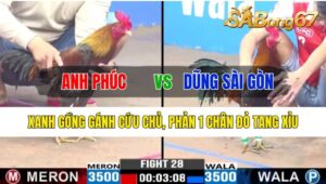 Trận 28 CPC3 26/10/2024 Anh Phúc Đá Xổ Anh Dũng Sài Gòn