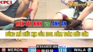 Trận 29 CPC1 03/10/2024: Anh Hiền Tây Ninh Đá Xổ Anh An