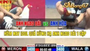 Trận 29 CPC1 05/10/2024: Anh Ngao Bái Đá Xổ Anh Hòa