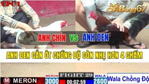 Trận 29 CPC1 12/10/2024 Anh Chín Đá Xổ Anh Đen