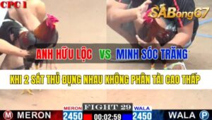 Trận 29 CPC1 21/10/2024 Anh Hữu Lộc Đá Xổ Anh Minh Sóc Trăng