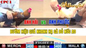 Trận 3 CPC1 05/10/2024: Anh Hải Đá Xổ Anh Phước