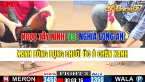 Trận 3 CPC1 12/10/2024 Anh Ngọc Tây Ninh Đá Xổ Anh Nghĩa Long An