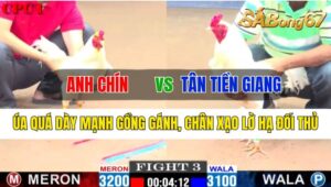 Trận 3 CPC1 17/10/2024 Anh Chín Đá Xổ Anh Tân Tiền Giang