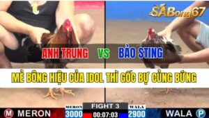 Trận 3 CPC2 11/10/2024 Anh Trung Đá Xổ Anh Bảo Sting