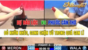 Trận 3 CPC2 13/10/2024 Anh Dự Bảo Lộc Đá Xổ Anh Phước Cần Thơ