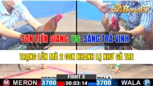 Trận 3 CPC3 15/10/2024 Anh Sơn Tiền Giang Đá Xổ Anh Sáng Trà Vinh