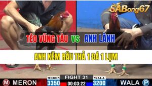 Trận 31 CPC2 11/10/2024 Anh Tèo Vũng Tàu Đá Xổ Anh Lành