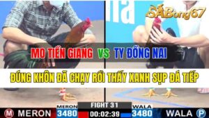 Trận 31 CPC3 06/10/2024 Anh Mo Tiền Giang Đá Xổ Anh Ty Đồng Nai