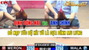 Trận 32 CPC1 03/10/2024: Anh Định Đồng Nai Đá Xổ Anh Chín