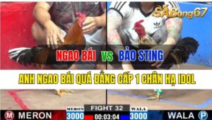 Trận 32 CPC2 02/10/2024: Anh Ngao Bái Đá Xổ Anh Bảo Sting