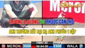 Trận 32 CPC3 06/10/2024 Anh Trường Bình Dương Đá Xổ Anh Phước Cần Thơ