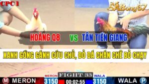 Trận 33 CPC1 14/10/2024 Anh Hoàng Q8 Đá Xổ Anh Tân Tiền Giang