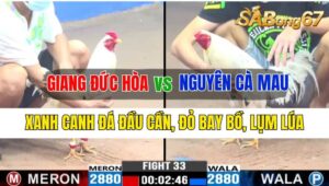 Trận 33 CPC3 12/10/2024 Anh Giang Đức Hòa Đá Xổ Anh Nguyên Cà Mau