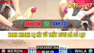 Trận 34 CPC1 07/10/2024 Anh Tôn Đá Xổ Anh Tới