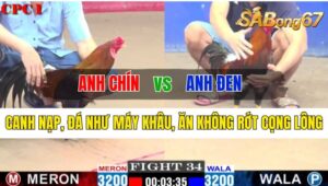 Trận 34 CPC1 14/10/2024 Anh Chín Đá Xổ Anh Đen