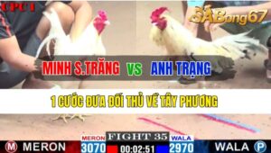 Trận 35 CPC1 21/10/2024 Anh Minh Sóc Trăng Đá Xổ Anh Trạng