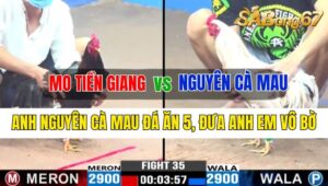 Trận 35 CPC3 12/10/2024 Anh Giang Đức Hòa Đá Xổ Anh Nguyên Cà Mau