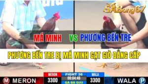 Trận 36 CPC3 06/10/2024 Má Minh Đá Xổ Anh Phương Bến Tre