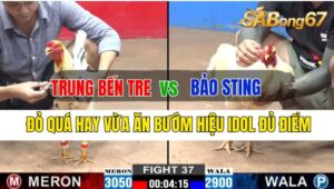 Trận 37 CPC2 02/10/2024: Anh Trung Bến Tre Đá Xổ Anh Bảo Sting