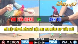 Trận 37 CPC3 29/10/2024 Anh Mo Tiền Giang Đá Xổ Anh Tới