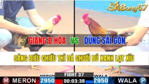 Trận 37 CPC3 31/10/2024 Anh Giang Đức Hòa Đá Xổ Anh Dũng Sài Gòn