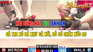 Trận 38 CPC1 07/10/2024 Anh Hải Đồng Nai Đá Xổ Anh An