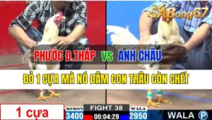 Trận 38 CPC2 04/10/2024: Anh Phước Đồng Tháp Đá Xổ Anh Châu