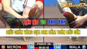 Trận 38 CPC2 09/10/2024 Anh Tèo Đá Xổ Anh Lành