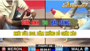 Trận 38 CPC2 23/10/2024 Anh Tuấn Anh Đá Xổ Anh Bảo Sting