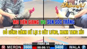 Trận 38 CPC3 06/10/2024 Anh Mo Tiền Giang Đá Xổ Anh Sen Sóc Trăng