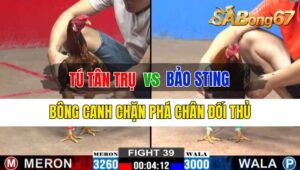 Trận 39 CPC2 04/10/2024: Anh Tú Tân Trụ Đá Xổ Anh Bảo Sting