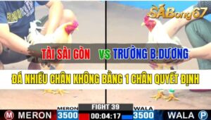 Trận 39 CPC3 06/10/2024 Anh Tài Sài Gòn Đá Xổ Anh Trường Bình Dương