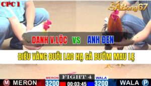 Trận 4 CPC1 03/10/2024: Anh Danh V.Lộc Đá Xổ Anh Đen