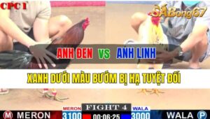 Trận 4 CPC1 12/10/2024 Anh Đen Đá Xổ Anh Linh