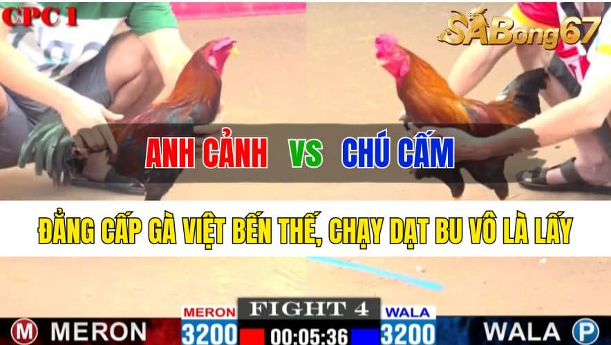 Trận 4 CPC1 29/10/2024 Anh Cảnh Đá Xổ Chú Cấm