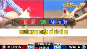 Trận 4 CPC2 13/10/2024 Anh Châu Đá Xổ Anh Bảo Sting