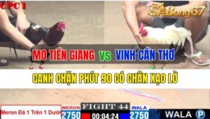 Trận 4 CPC3 01/10/2024 Anh Mo Tiền Giang Đá Xổ Anh Vinh Cần Thơ