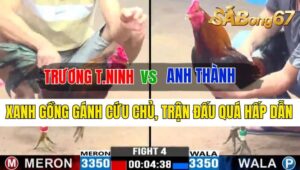 Trận 4 CPC3 08/10/2024 Anh Trương Tây Ninh Đá Xổ Anh Thành