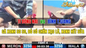 Trận 4 CPC3 12/10/2024 Anh Ti Đồng Nai Đá Xổ Anh Bình T.Giang