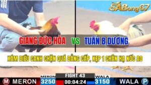 Trận 43 CPC3 31/10/2024 Anh Giang Đức Hòa Đá Xổ Anh Tuấn Bình Dương