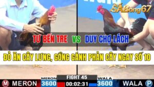 Trận 45 CPC3 12/10/2024 Anh Tư Bến Tre Đá Xổ Anh Duy Chợ Lách