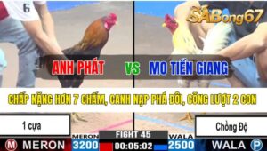 Trận 45 CPC3 22/10/2024 Anh Phát Đá Xổ Anh Mo Tiền Giang